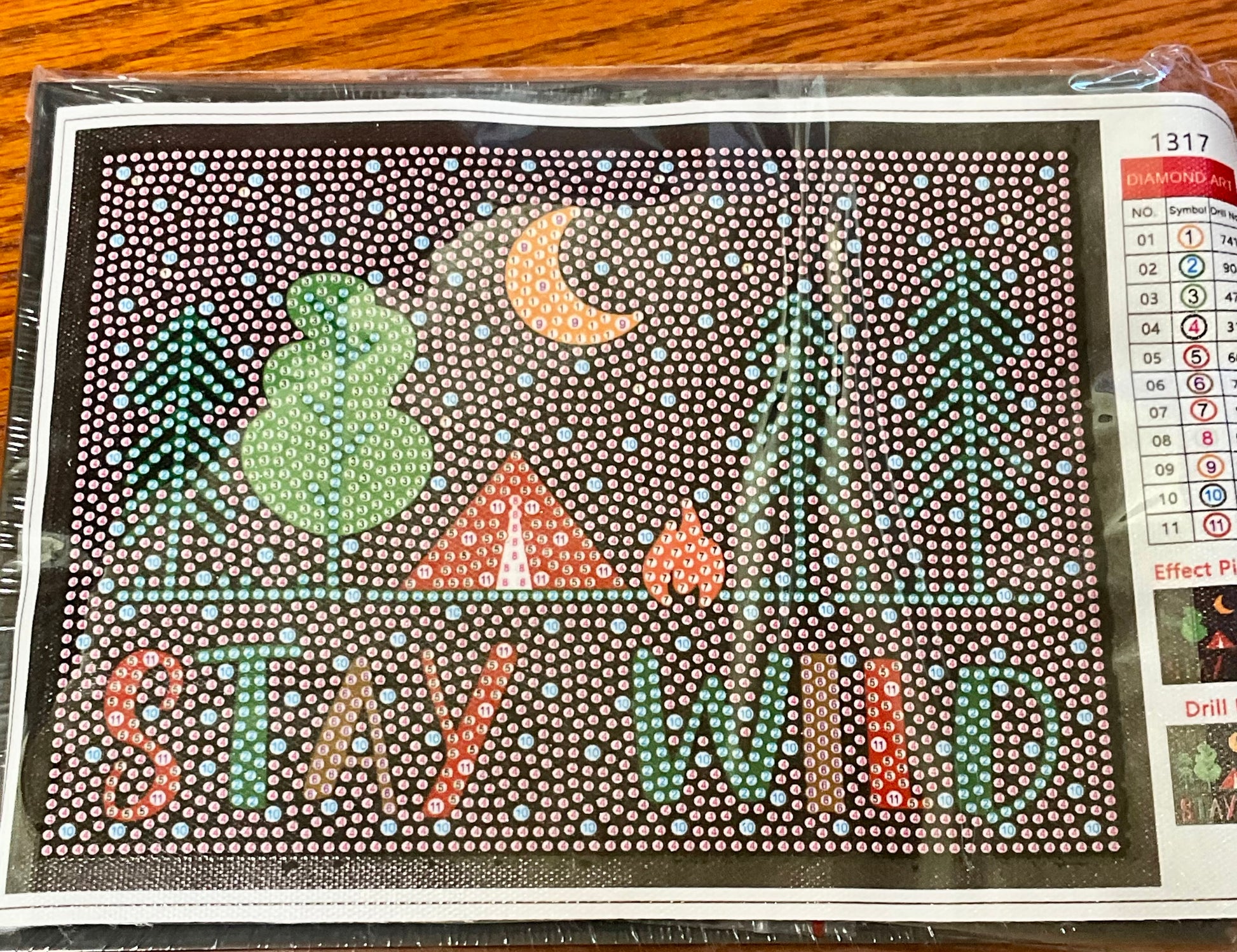 Stay Wild Diamond Painting Kit with Frame