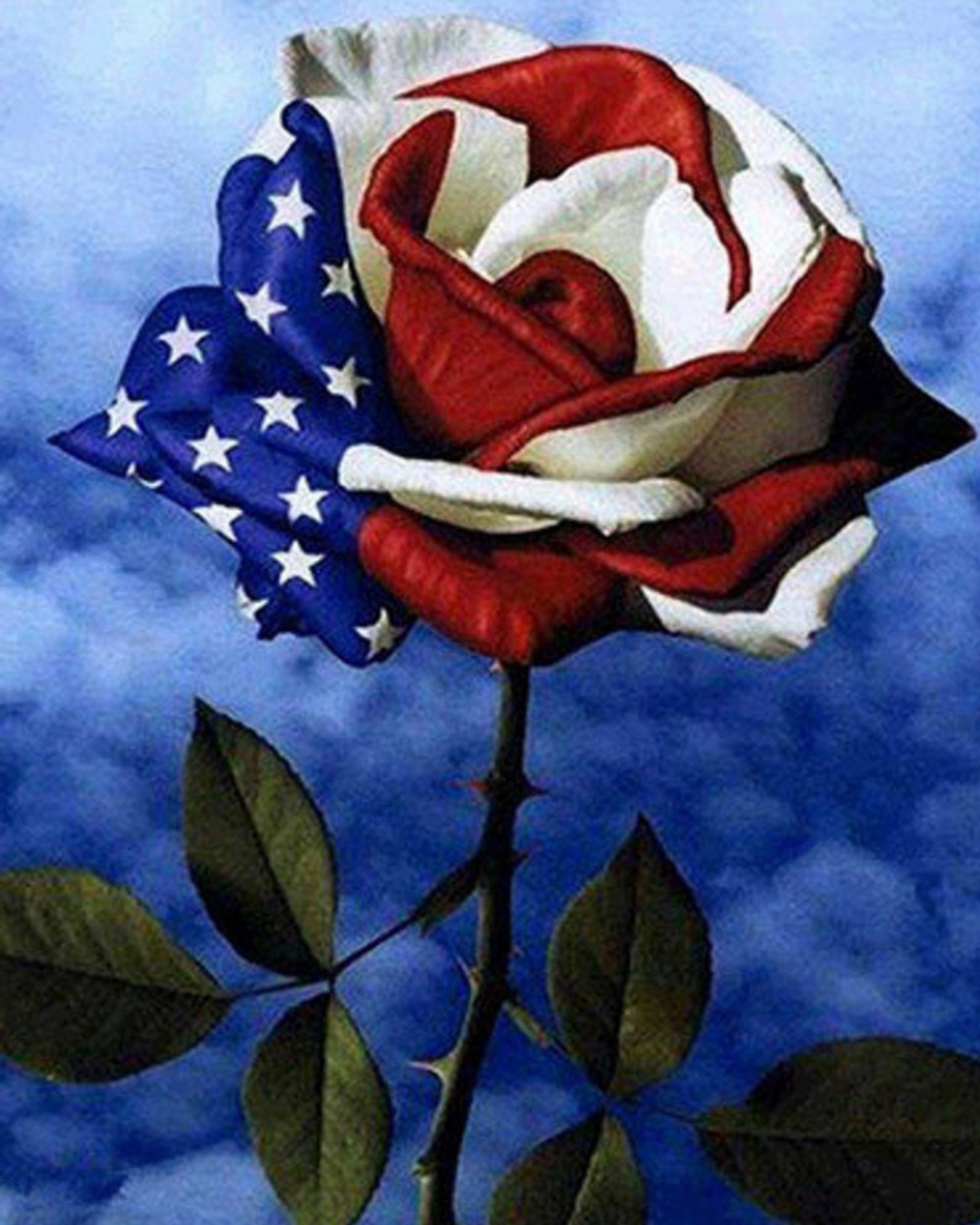 American Rose Diamond Painting Soft Canvas Kit