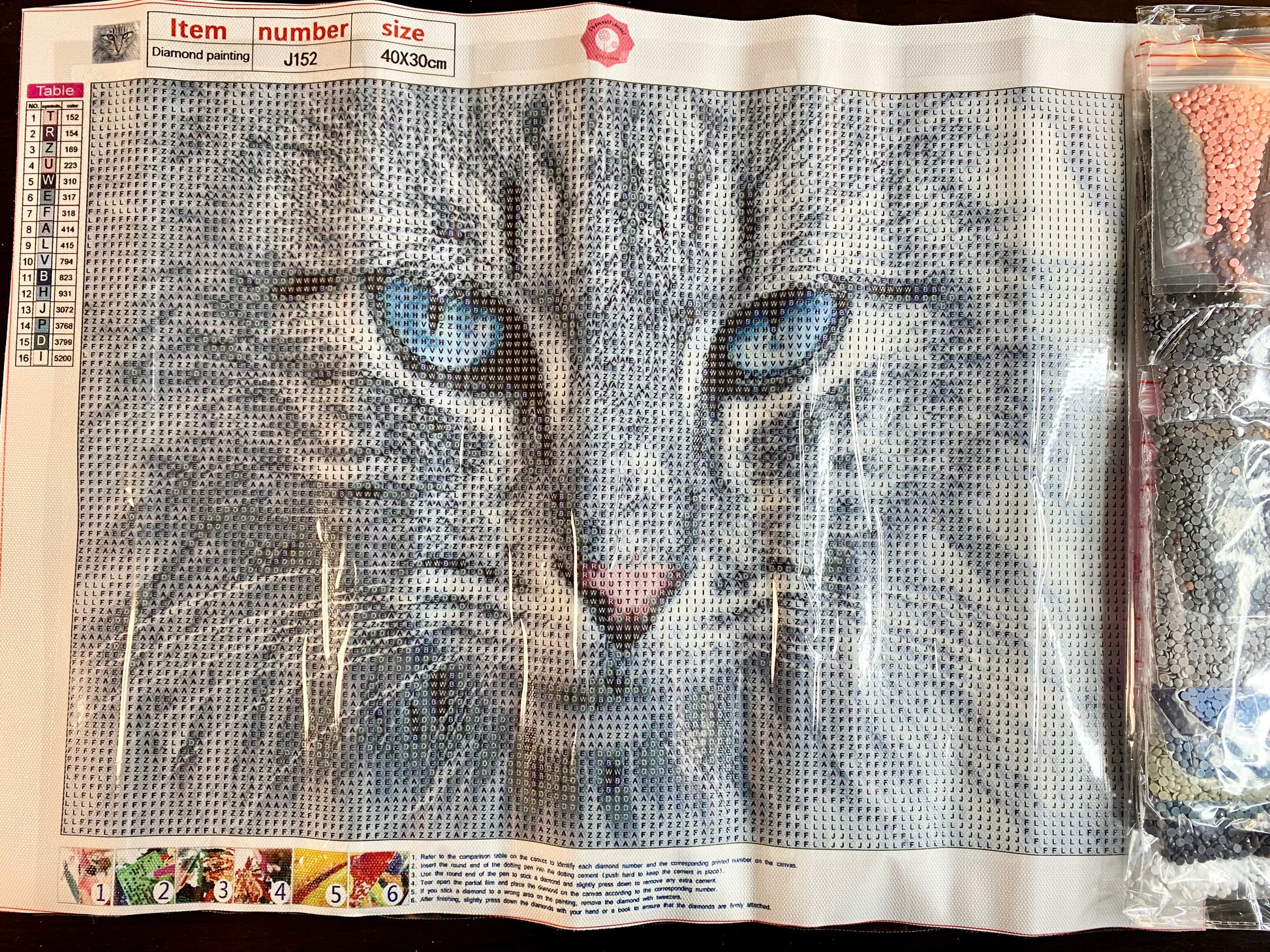 Furry Gray Cat Diamond Painting Kit