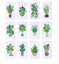 Mini Diamond Painting Kit Collection - Set of 12 Plant Canvases