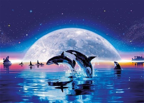 Luminous Diamond Painting Kit - Moonlight Whales 30x40cm includes glow in dark drills
