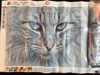 Furry Gray Cat Diamond Painting Kit