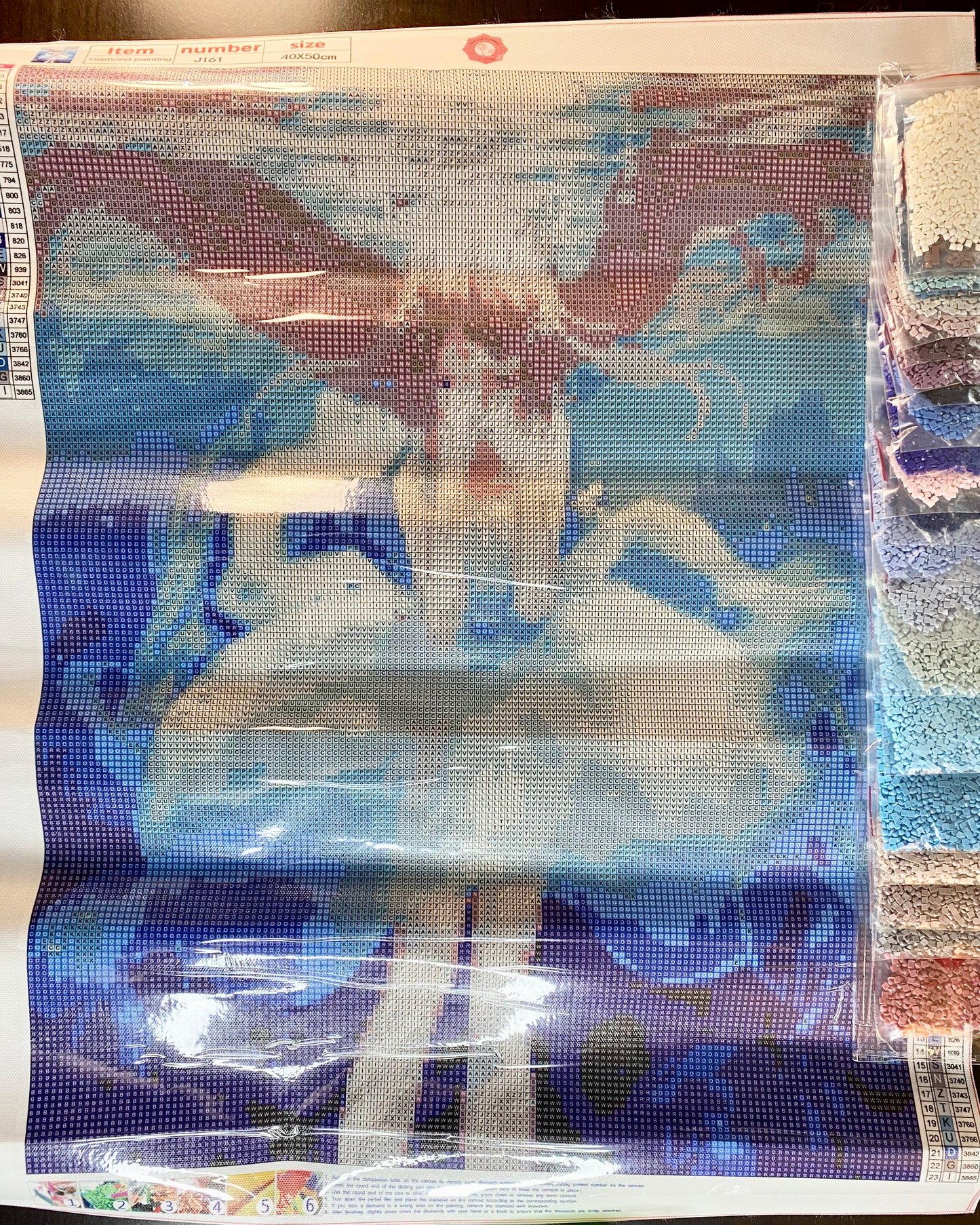 Jellyfish Girl Diamond Painting Kit